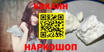 крисы Можга