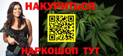 крисы Можга