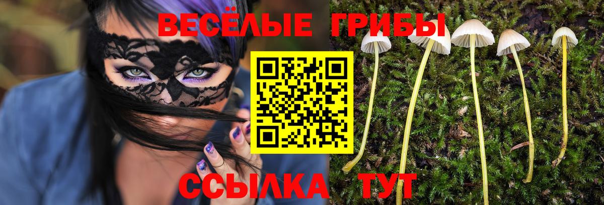 Сунжа  Псилоцибиновые грибы MAGIC MUSHROOMS  Вход с VPN 
