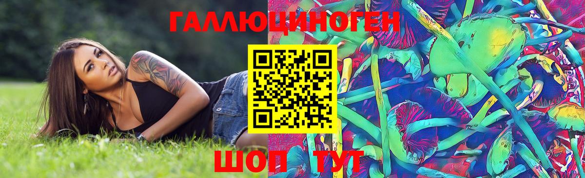 Галлюциногенные грибы Psilocybe Сунжа